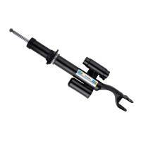 Suspension - Shocks & Struts