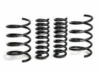 Suspension - Lowering Springs