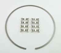 Wilwood Kit Snap Ring (1) and Wear Plates (8) Dynamic Drag Rotor - 300-12561