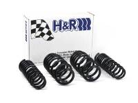 H&R 96-01 Audi A4 Quattro (AWD) B5 Sport Spring - 50396