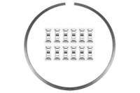Wilwood 8.80in Diameter Dynapro Lug Rotor and Snap Ring Dynamic Kit - Stainless Steel - 300-14913
