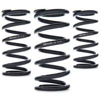 AST - AST AST-180-60-61 AST Linear Race Springs - 180mm Length x 60 N/mm Rate x 61mm ID - Single