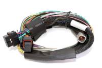 Haltech Elite 2500 Basic Universal Wire-In Harness w/o Relays or Fuses - 2.5m (8ft) - HT-141302