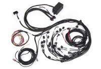 Haltech Elite 2500 Terminated Harness w/EV1 Injector Connectors - HT-141388