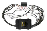 Haltech Elite 2500 Terminated Harness ECU Kit w/EV1 Injector Connectors - HT-151360
