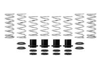 Eibach Pro-UTV 15-16 Polaris RZR 1000 XP Turbo EPS (2-Seat) Stage 3 Performance Springs - E85-209-006-03-22