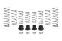 Eibach Pro-UTV 2020 Polaris RZR Pro XP (2 Seat) Stage 2 Performance Springs - E85-209-024-03-22