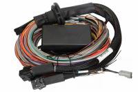Haltech Universal Elite 2500/2500 T Premium Wire-In Harness - HT-141306