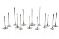 Ferrea BMW S55 28mm 5.96mm 112.83mm STD Trpl Grv Comp Plus Ext Valve - Single (D/S Only) - F2428P-1