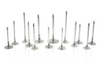 Ferrea Peugeot TU5J4 29.8mm 5.98mm 104.4mm 20 Deg S-Flo +1mm 6000 Series Intake Valve - Set of 8 - F6761