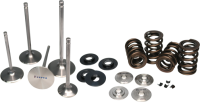 Ferrea 03-07 Lamborghini V10 5.0L Pac Enhanced Single Spring Kit - KT4029