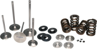 Ferrea 01-06 BMW S54 Dual Spring Kit - KT4045