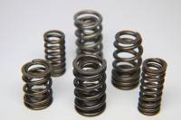 Ferrea 1.600in to 1.650in Dia 1.064/1.624 OD 0.760/1.164 ID Dual w/Damper Spring- Sngl (D/S Only) - S10005-1