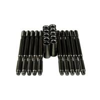Wagner Tuning Audi RS6 C5 OEM Head Stud Set - Burnished - P101092010.BR