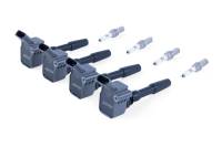 APR Ignition Coil & Spark Plug Kit (2.0T EA888.3, EA888.4 4-cylinder engines) - GREY - KT100027