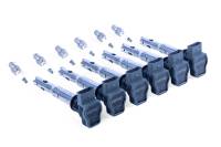 APR Ignition Coil & Spark Plug Kit (3.0T EA837 6-cylinder engines) - GRAY - KT100045
