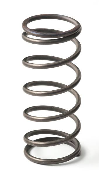 GFB Go Fast Bits - GFB Go Fast Bits EX50 9psi spring (middle) - 7109