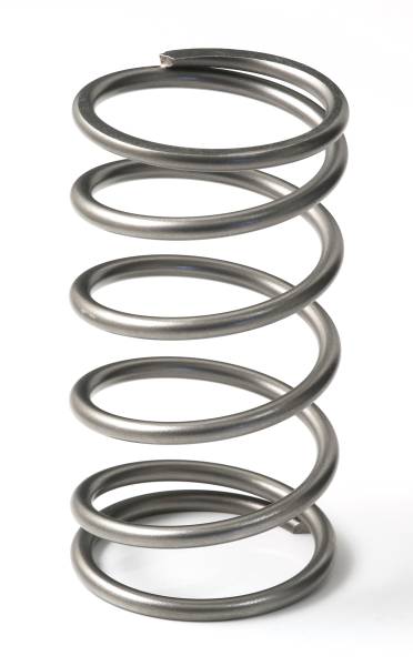 GFB Go Fast Bits - GFB Go Fast Bits EX50 13psi spring (outer) - 7113