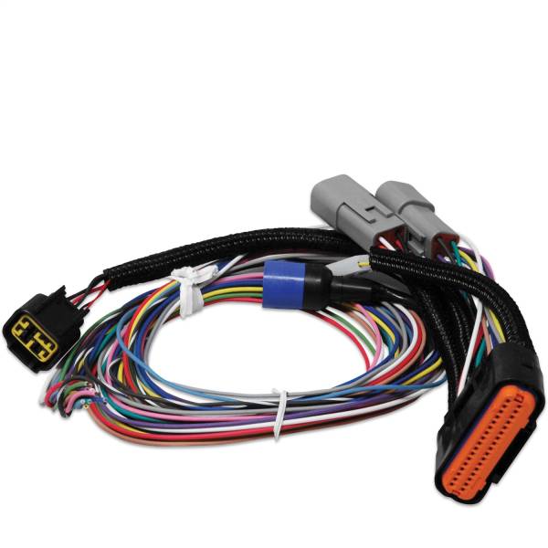 MSD - MSD Power Grid Ignition System Replacement Wire Harness - 7780