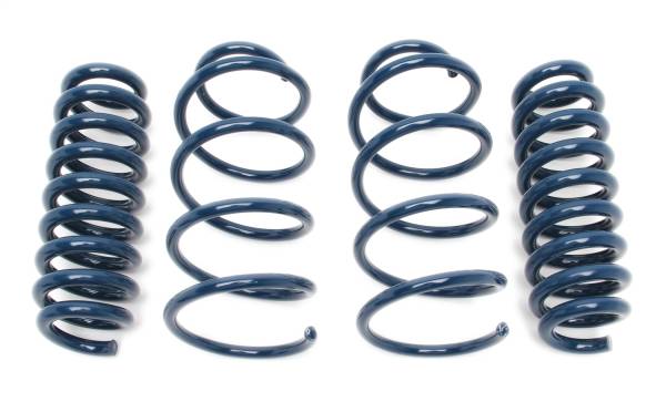 Dinan - Dinan Performance Coil Spring Set