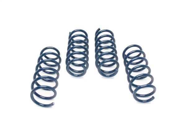 Dinan - Dinan Performance Coil Spring Set