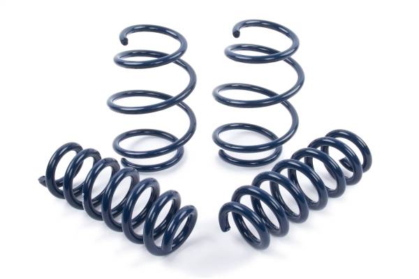 Dinan - Dinan Performance Coil Spring Set