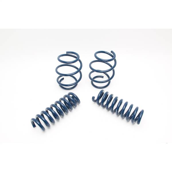 Dinan - Dinan Performance Coil Spring Set