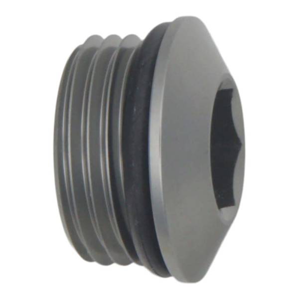 DeatschWerks - DeatschWerks 10AN ORB Male Plug Low Profile Internal Allen/Hex (Incl. O-Ring) - 6-02-0719
