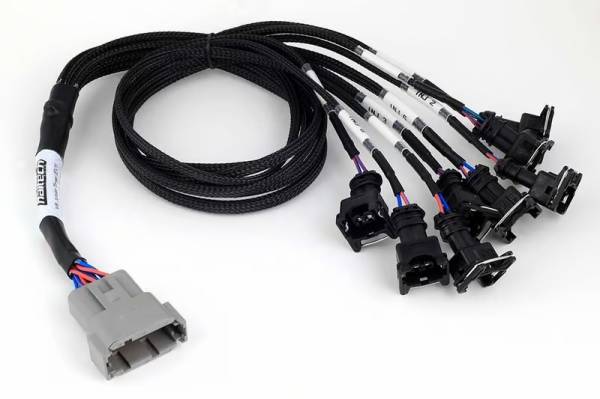 Haltech - Haltech NEXUS V8 Junior Timer (EV1) Injector Primary Breakout (Plug-n-Play w/HT-186200) - HT-186000