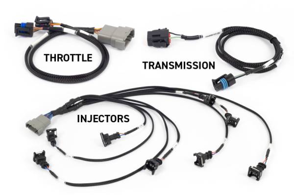Haltech - Haltech NEXUS Rebel LS Gen III Cable Throttle/EV1 Injectors/Manual Transmission - HT-220201