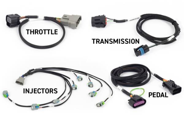 Haltech - Haltech NEXUS Rebel LS Gen IV 6-Pin DBW Throttle/EV6 Injectors/Manual Transmission - HT-220204