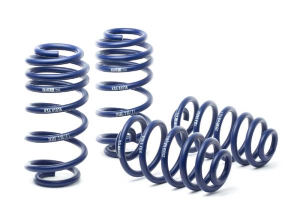 H&R - H&R 02-08 Audi A4/A4 Avant (2WD) V6 8E Sport Spring (Incl. Facelift Model) - 29369-2