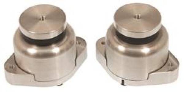 Prothane - Prothane Audi R8 Motor & Trans Mount Kit - Black - 2-1600-BL