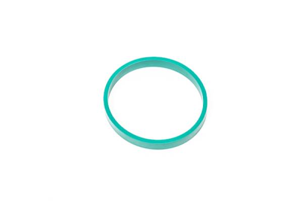 Radium Engineering - Radium Engineering Intake Manifold Gasket for R8/Gallardo LP - 18-0090