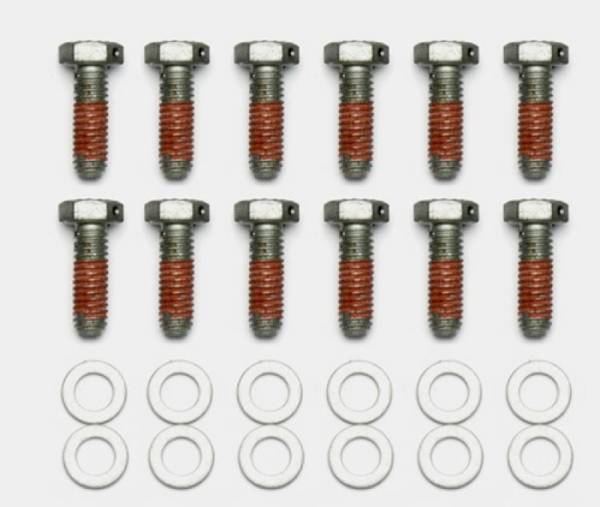 Wilwood - Wilwood Bolt Kit - 5/16-18 x 1.00 LG - 12 pk - 230-14086