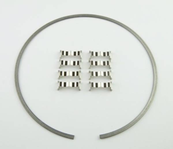 Wilwood - Wilwood Kit Snap Ring (1) and Wear Plates (8) Dynamic Drag Rotor - 300-12561