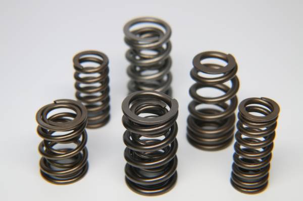 Ferrea - Ferrea 1.225in to 1.570in Dia 0.925/1.24 OD 0.66/0.915 ID Dual Valve Spring - Set of 16 - S10007