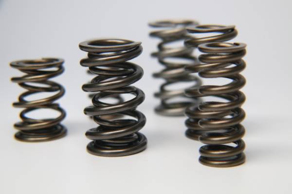 Ferrea - Ferrea 1.225in to 1.570in Diameter 1.025/1.57 OD 0.74/1.135 ID Dual w/Damper Valve Spring- Set of 16 - S10022