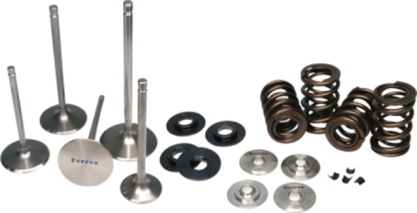 Ferrea - Ferrea 01-06 BMW S54 Dual Spring Kit - KT4045