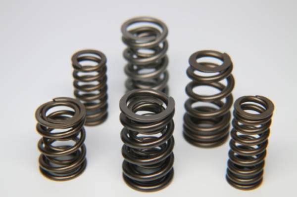 Ferrea - Ferrea MINI Cooper Dual Valve Spring - Set of 16 - S10111