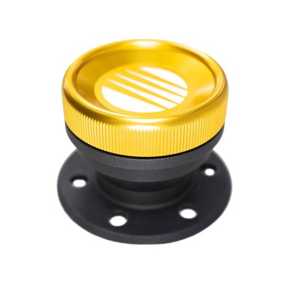 Fuelab - Fuelab Direct Fuel Filler Kit w/Cap - 63711