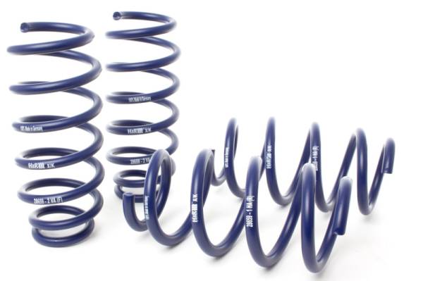 H&R - H&R 19-22 Tesla Model 3 Standard Range/Standard Range+ (RWD) Sport Spring (Non Air Susp.)