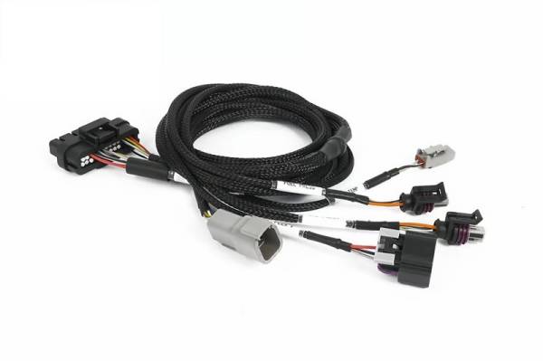 Haltech - Haltech NEXUS Universal Plug-in IO Expansion Harness - 2.5m (8ft) - HT-189002