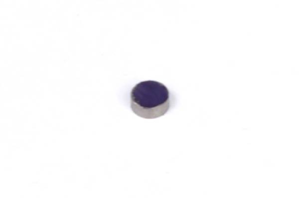 Haltech - Haltech HT-010602 Haltech Rare Earth Magnets (5mm Dia x 2mm H)