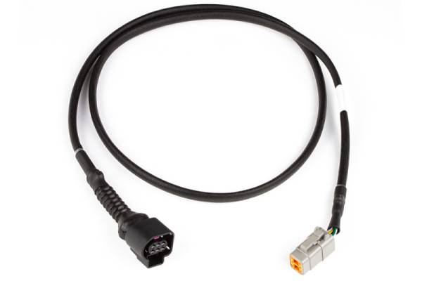 Haltech - Haltech HT-010726 Haltech LSU4.9 Wideband Adaptor Harness LSU4.9 to DTM6