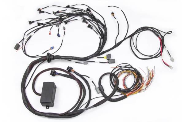 Haltech - Haltech HT-130326 Haltech Elite 2000/2500 Terminated Engine Harness w/EV1 Injector Connectors