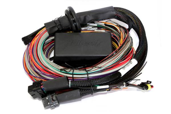 Haltech - Haltech HT-141304 Haltech Elite 2500/2500 T Premium Universal Wire-In Harness - 2.5m (8ft)