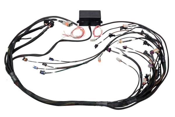 Haltech - Haltech HT-141364 Haltech GM GEN IV (LS2/LS3 Non DBW) Elite 2000/2500 Terminated Harness w/EV1 Inj Connectors