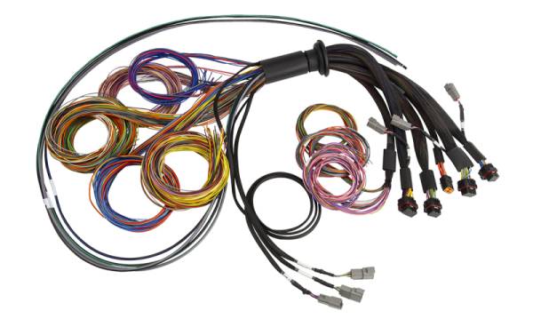 Haltech - Haltech HT-185200 Haltech NEXUS R5 Universal Wire-In Harness - 2.5M (8ft)