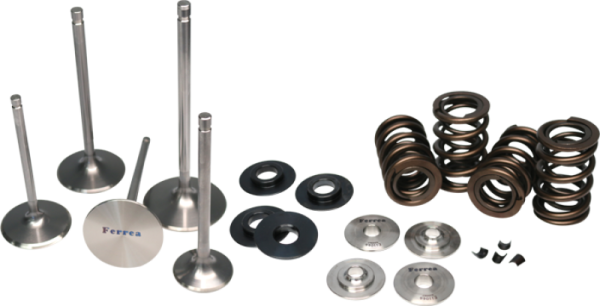 Ferrea - Ferrea KT4006 Ferrea 06-08 Audi 2.0L FSI Single Spring Kit